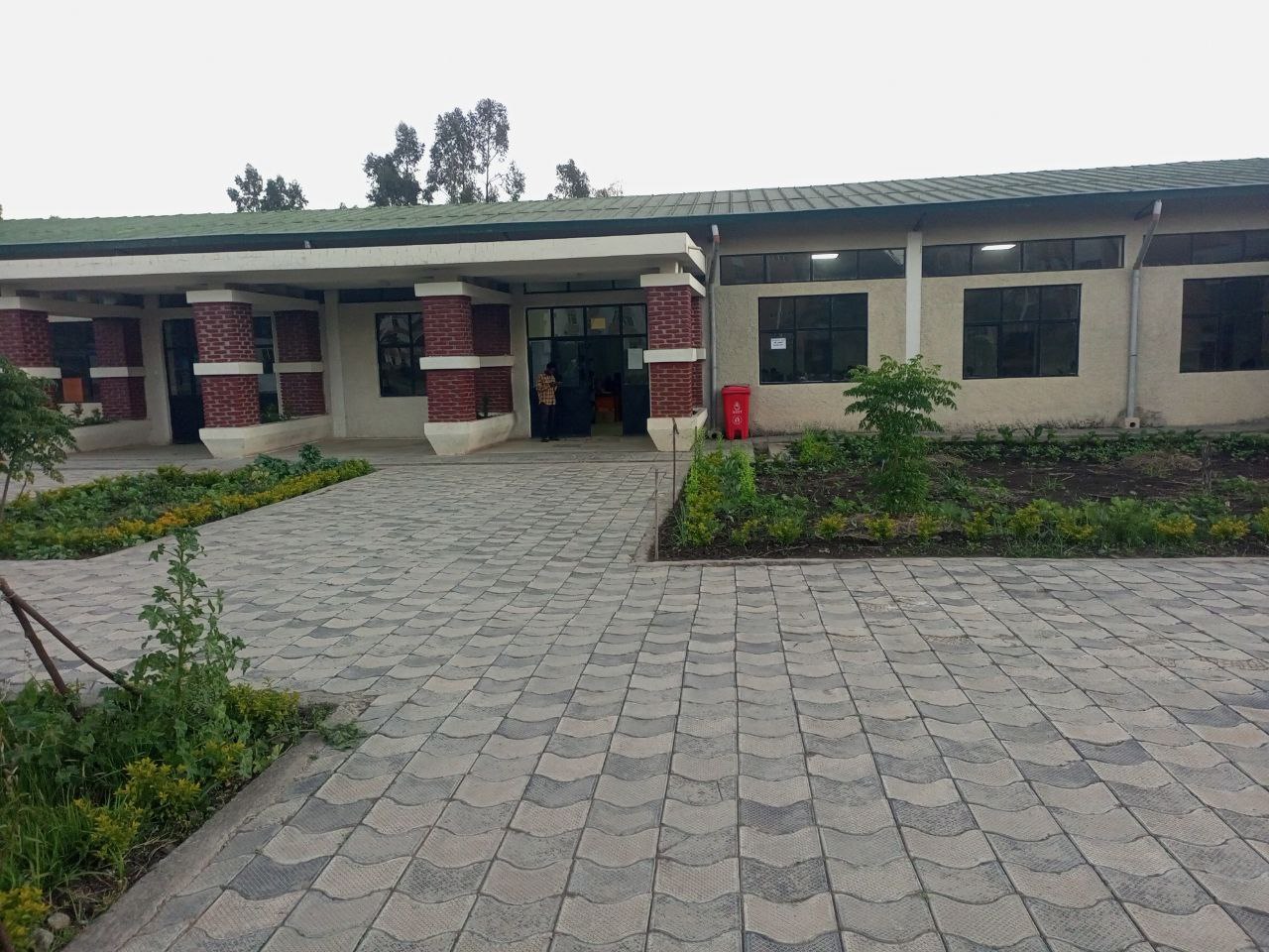 CMHS Library